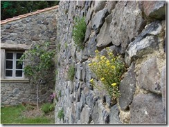 Mur et abri de jardin construit en pierre basaltique 